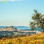 By Casamerina, Montenero With Private Pool 90km From Rome * Amelia