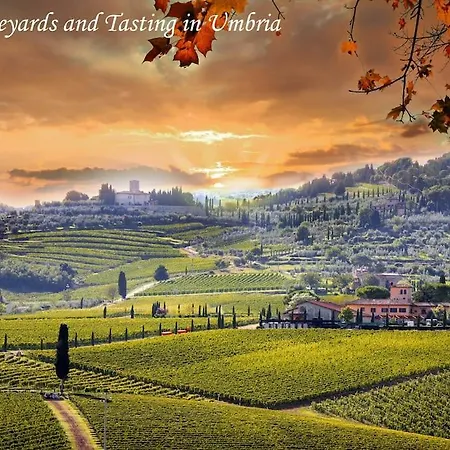 Vila By Casamerina, Montenero With Private Pool 90km From Rome *